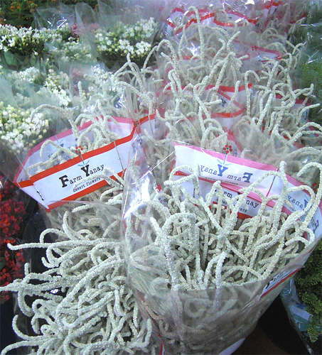 Desert yearning fresh cut flowers