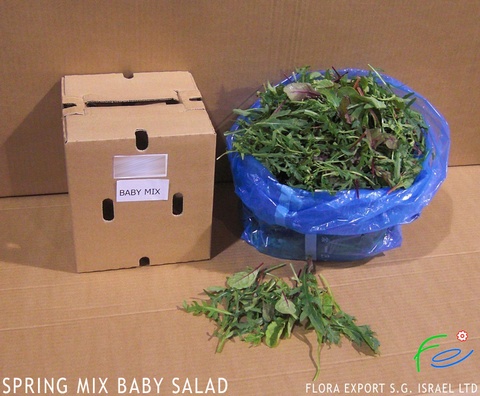 
Baby mix salad fresh herb
