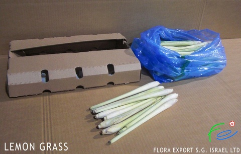 
Lemon Grass fresh herb
