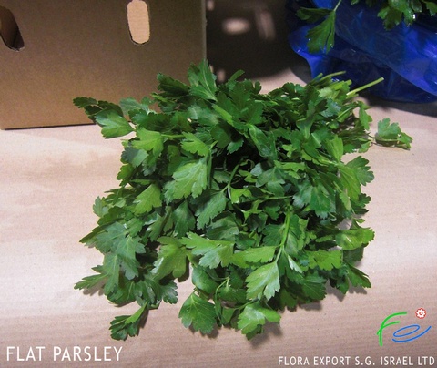 
Flat Parsley fresh herb
