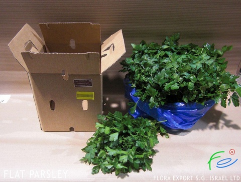 
Curly Parsley fresh herb
