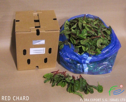 
Red Chard fresh herb
