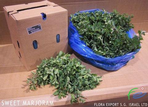 
Sweet Marjoram fresh herb
