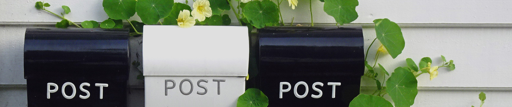 Flora Export S.G. Israel LTD esportatore israeliano di erbe fresche, verdure, frutta, fiori e fogliame