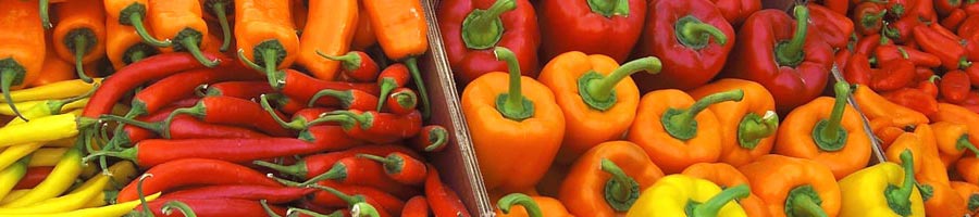 Flora Export S.G. Israel LTD erbe fresche ortaggi frutta fiori foliage esportatore azienda israeliana