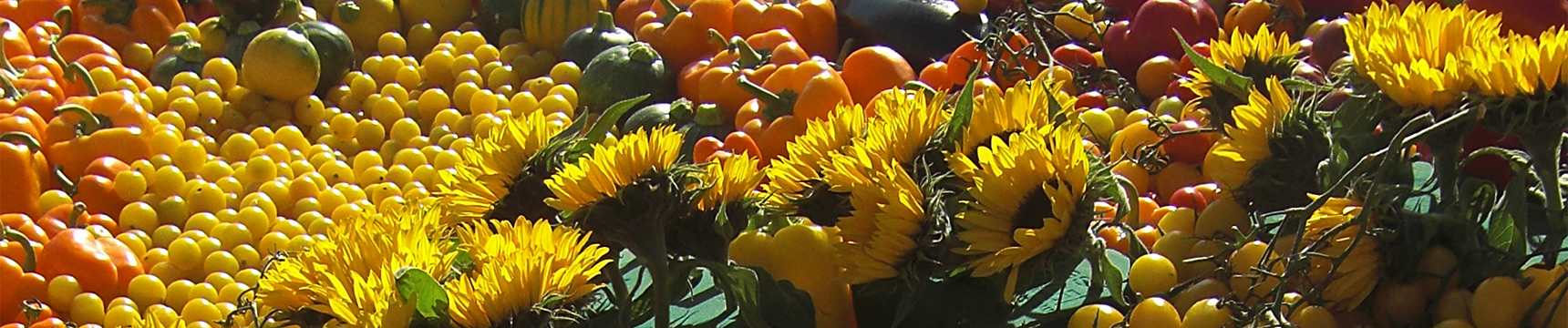 Flora Export S.G. Israel LTD fresh herbs vegetables fruit flowers foliage exporter services