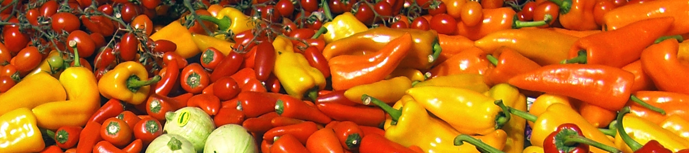 Wholesale supply fresh vegetables Flora Export S.G. Israel LTD