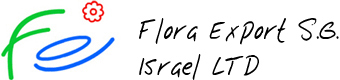 Flora Export S.G. Israel LTD company website
