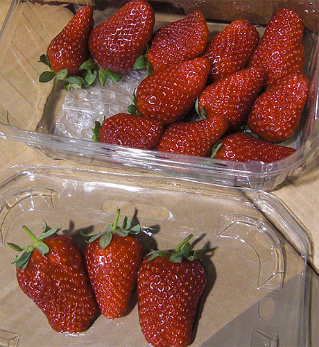 
Strawberry fresh berries
